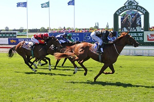 RIDING SHOTGUN WIN SI